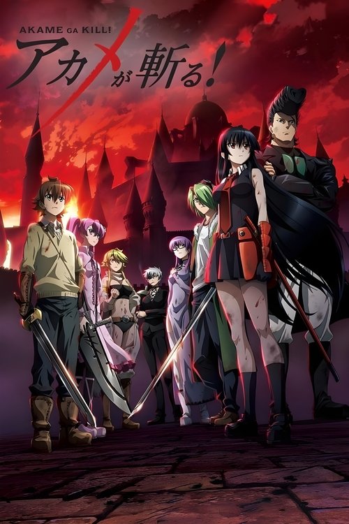 Akame ga Kill! (Subtitrat in Romana)